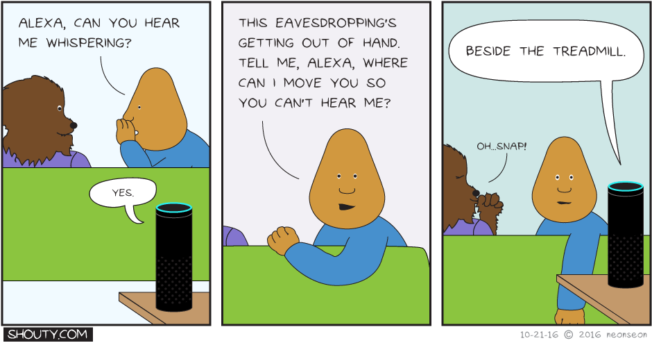 Shouty gets an Amazon Echo