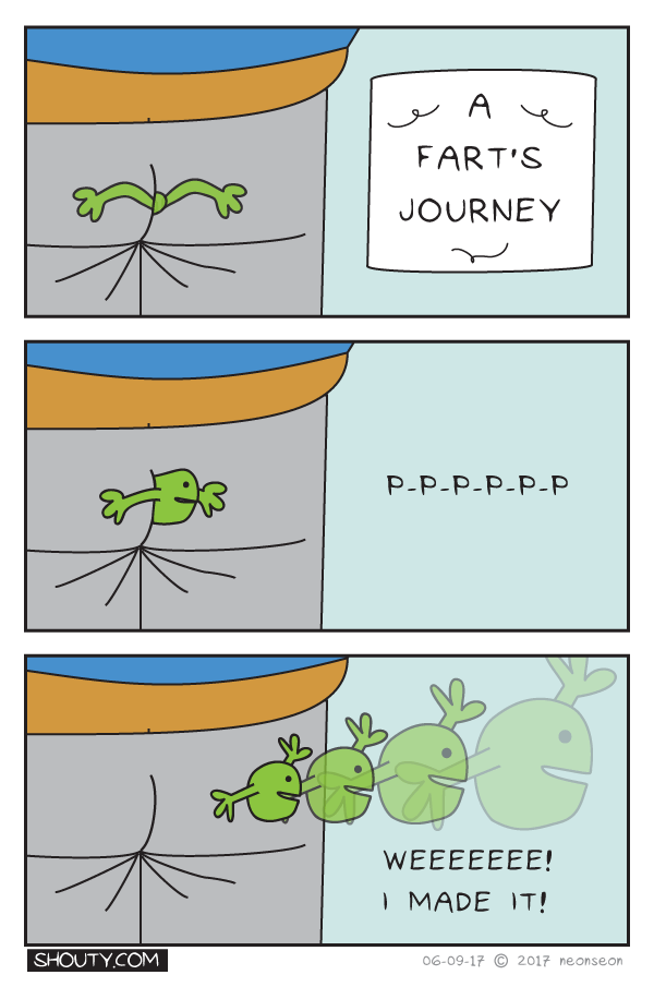 A Fart's Journey