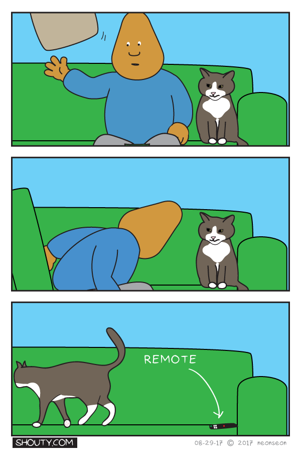 Cat and the remote