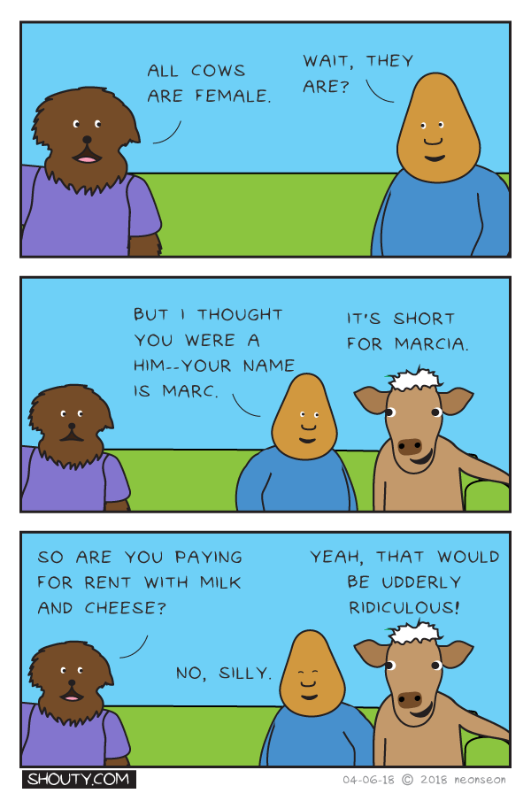 Cow roommate